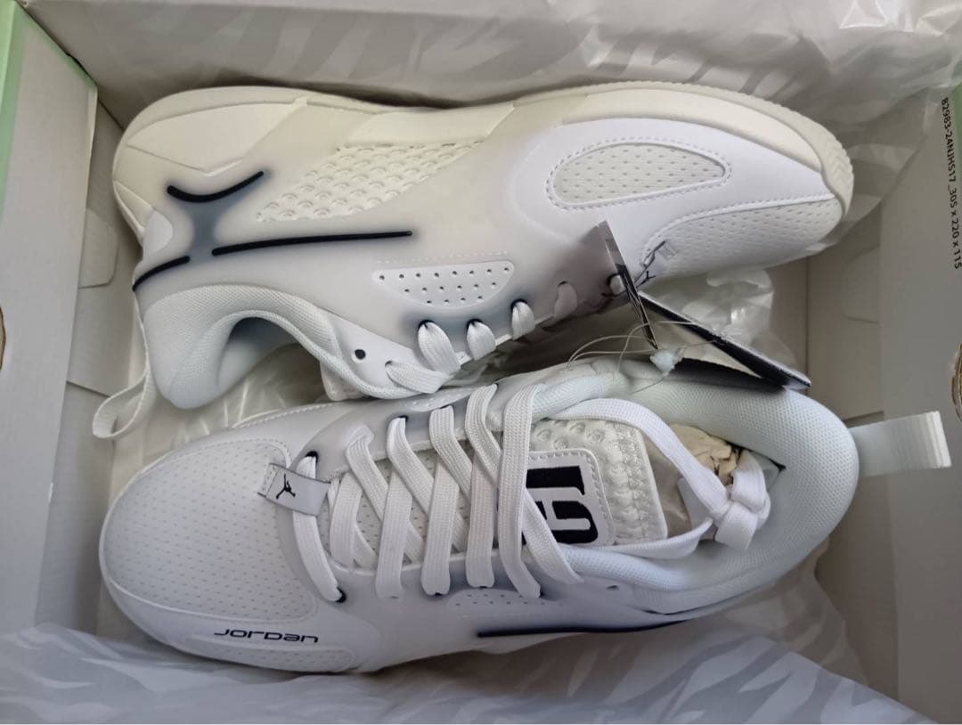 シューズ(男性用) WMNS JORDAN HEIR SERIES PF 8