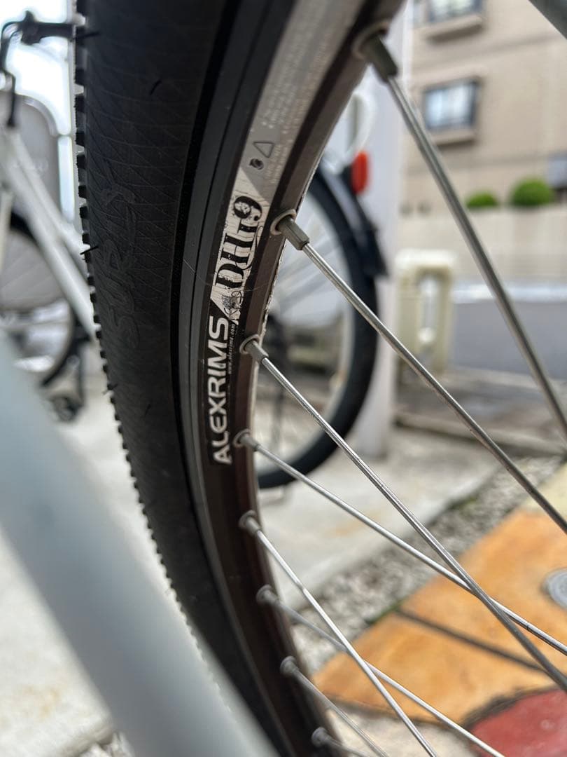 surly big dummy Mサイズ