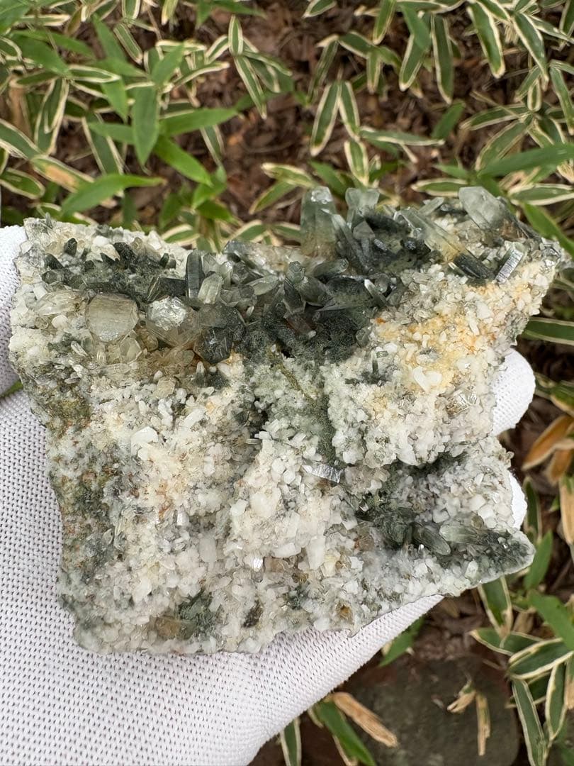 【匿名発送】ガネッシュヒマール産 クローライト、アンフィボール内包水晶