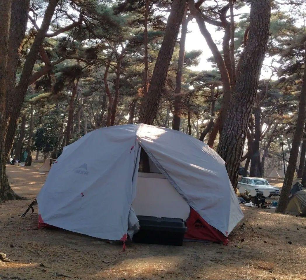 msr elixir4 エリクサー4 テント