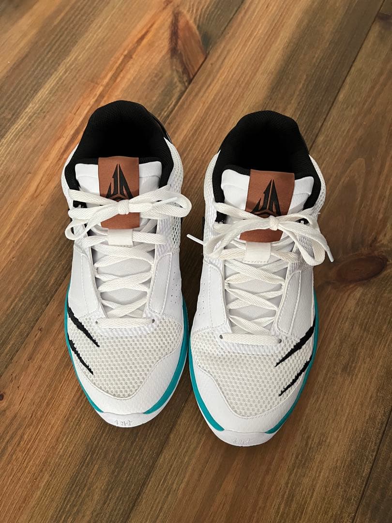 美品　NIKE JA1 scratch