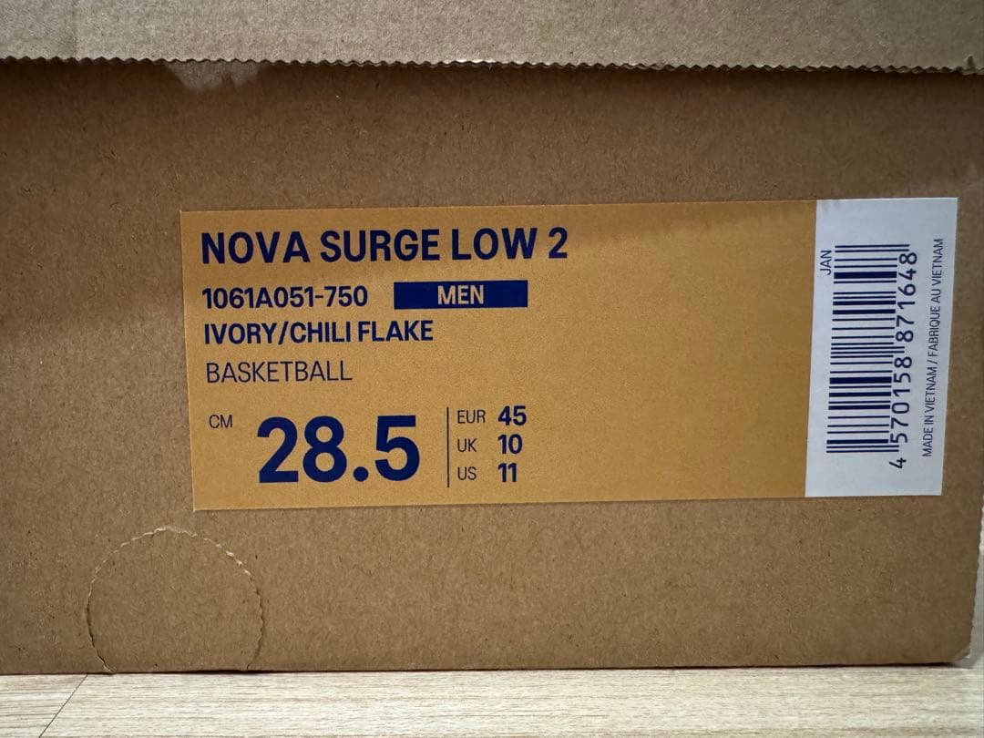 シューズ(男性用) asics Nova Surge low 2 novasurge
