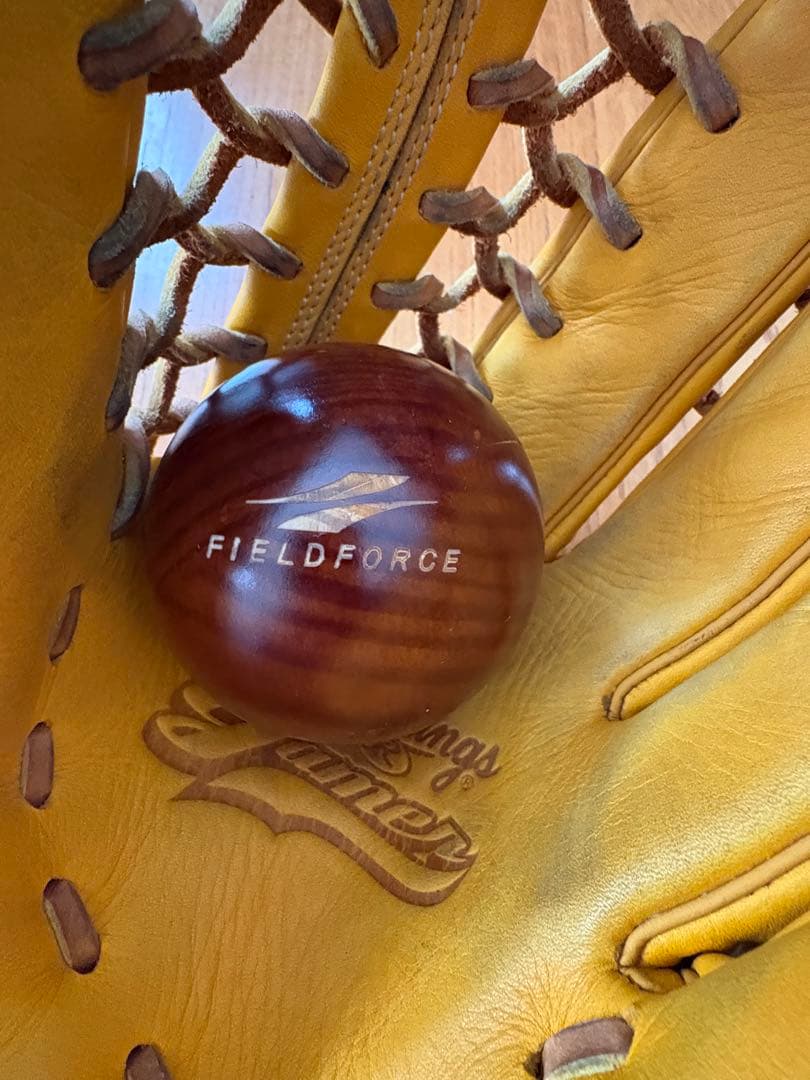 Rawlings Dual Palm Tech 硬式グローブ