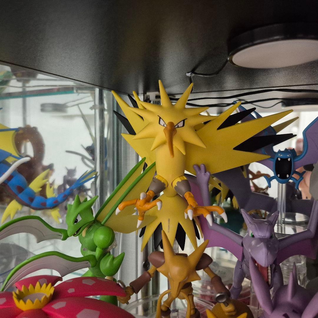 ポケモン セレクト フィギュア 海外 正規品 ファイヤー、サンダー、フリーザー