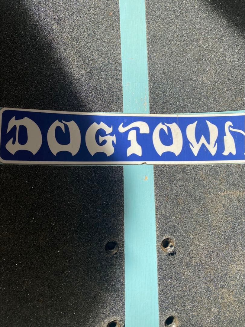 DOGTOWN 10インチ