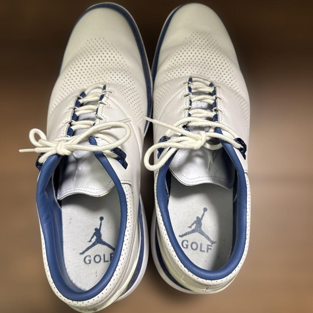 シューズ(男性用) NIKE Jordan ADG 4 28.5cm