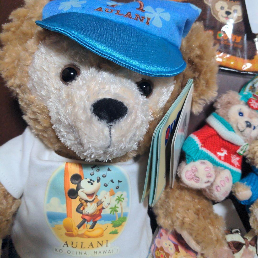 ディズニー　ダッフィー　シェリーメイ　ぬいぐるみ　ぬいば　タオル　ディズニーシー