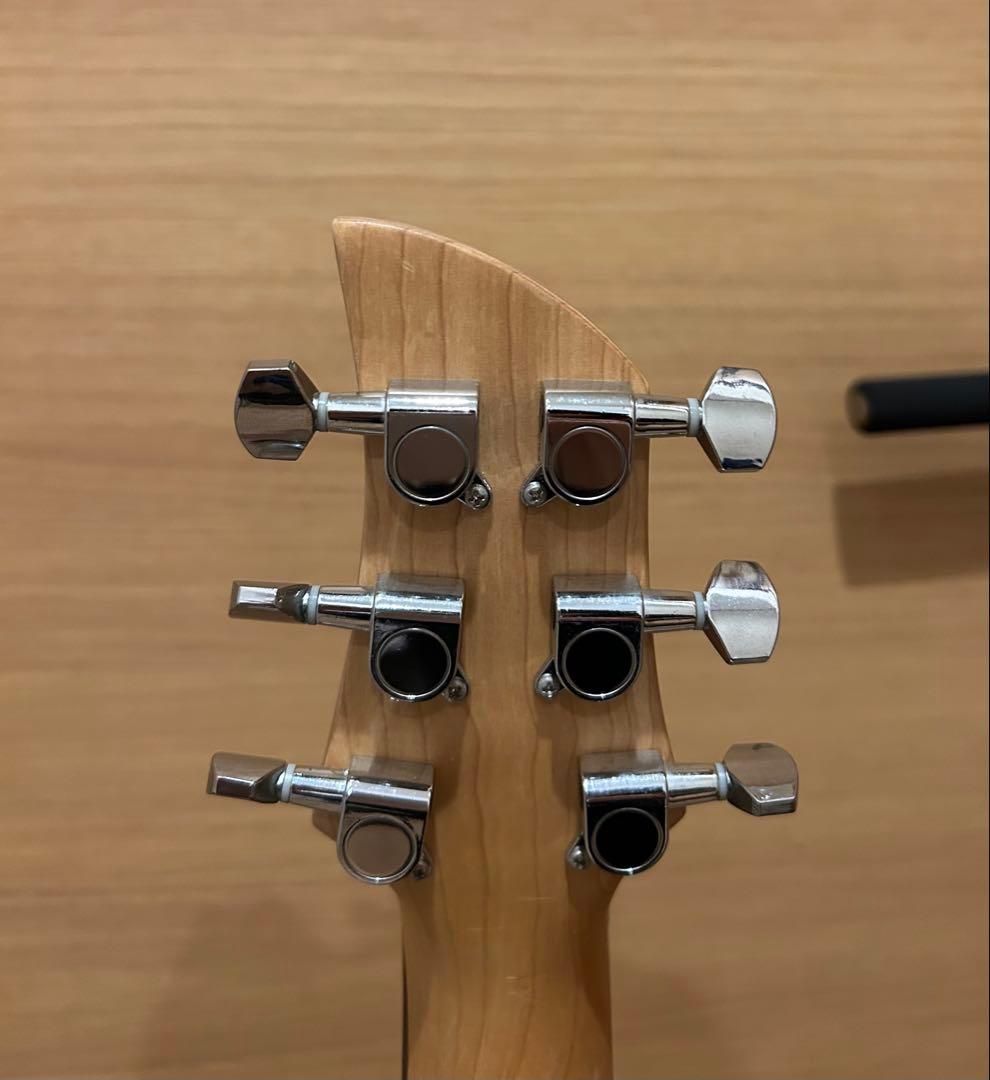 Ampeg アンペグ　Lucite Guitar ルーサイドギター　コピーモデル