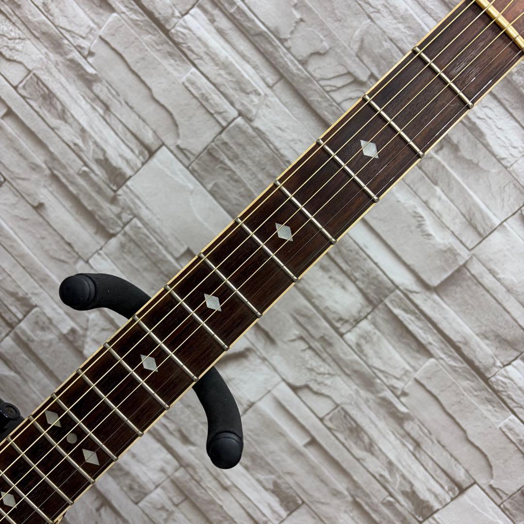 ReedMan リードマン エレクトリックアコースティックギター RM-501