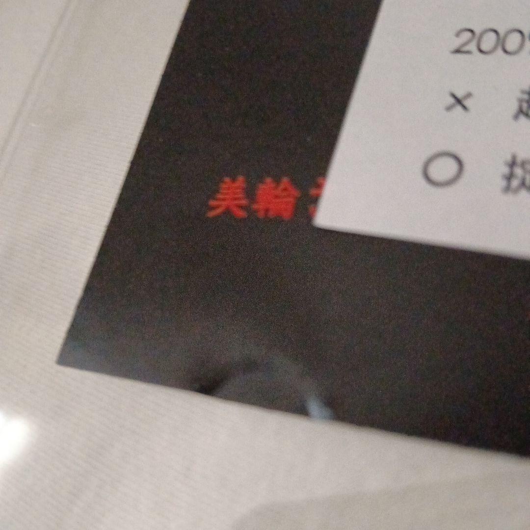 激レア 貴重 ゴールデンボンバー 2008年非売品 特典DVD