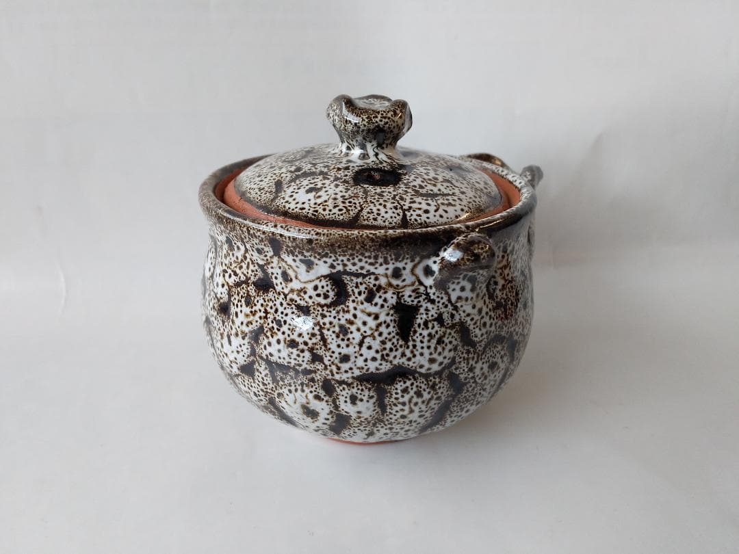希少品 萩碗 宝瓶 佐々木建 作 萩煎茶器 共箱 現代アート 煎茶道具 新品