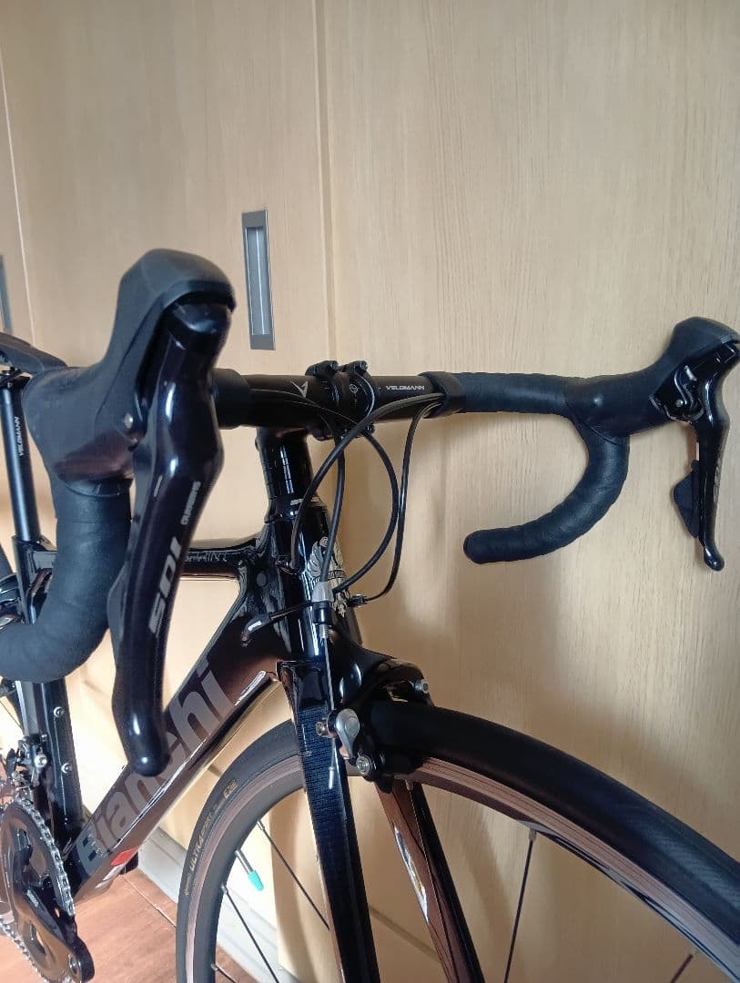 BIANCHI　ビアンキ　SPRINT　スプリント　リム　44　2022　美品