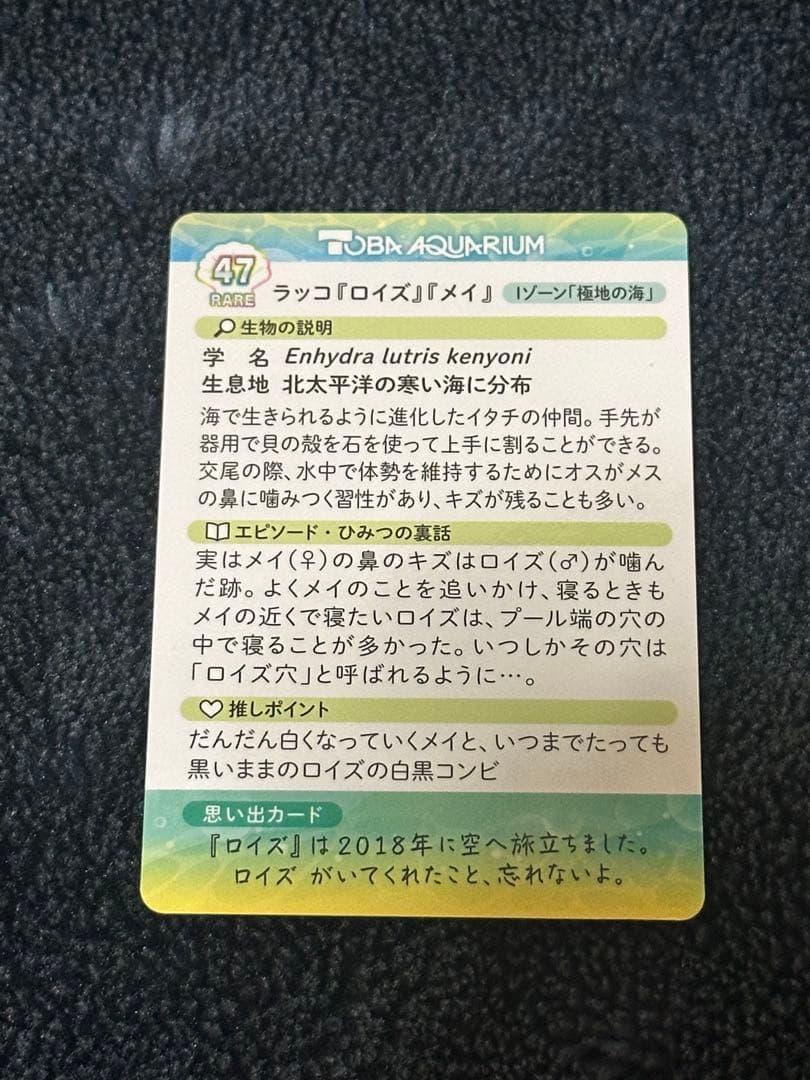 鳥羽水族館コレクションカードvol.2 47 ラッコ　ロイズ　メイ