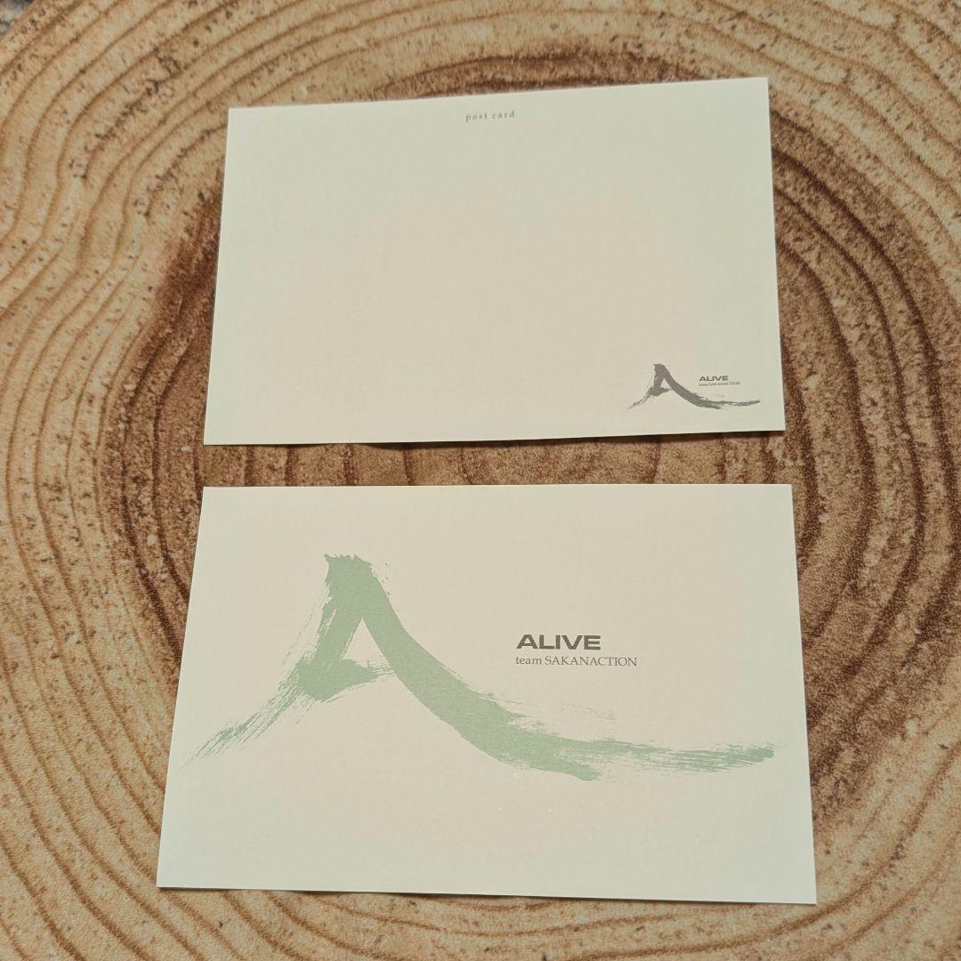 サカナクションALIVEポストカード2枚入teamSAKANACTION