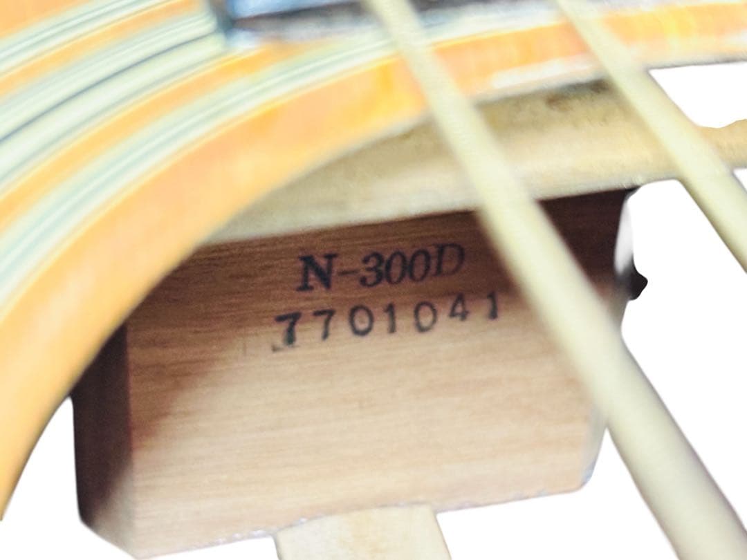 Nashville アコースティックギター　N300D