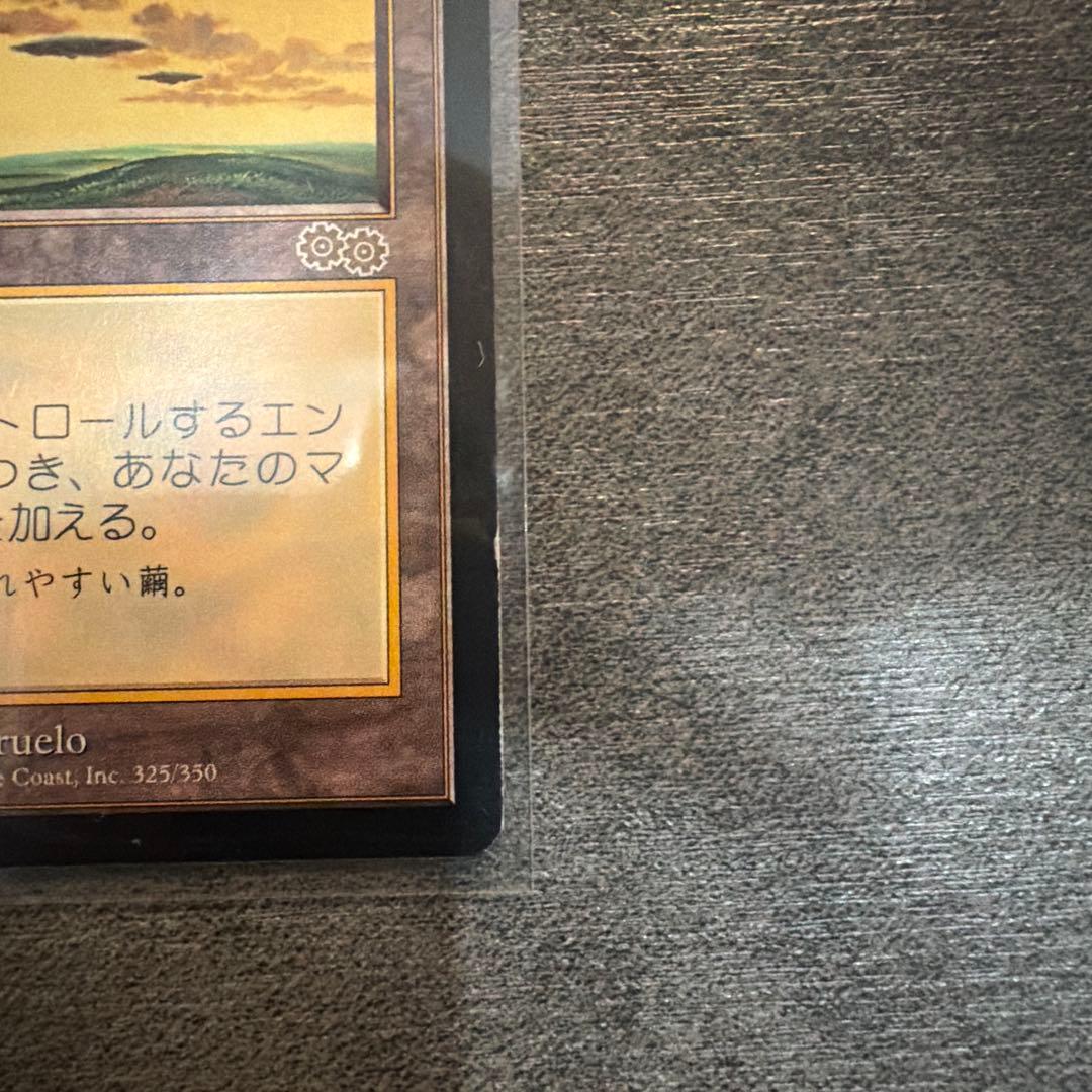セラの聖域/Serra's Sanctum USG MTG