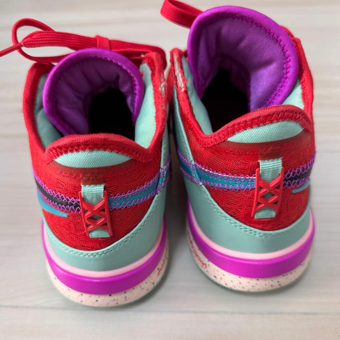 nike レブロン NXXT GEN EP 24.5