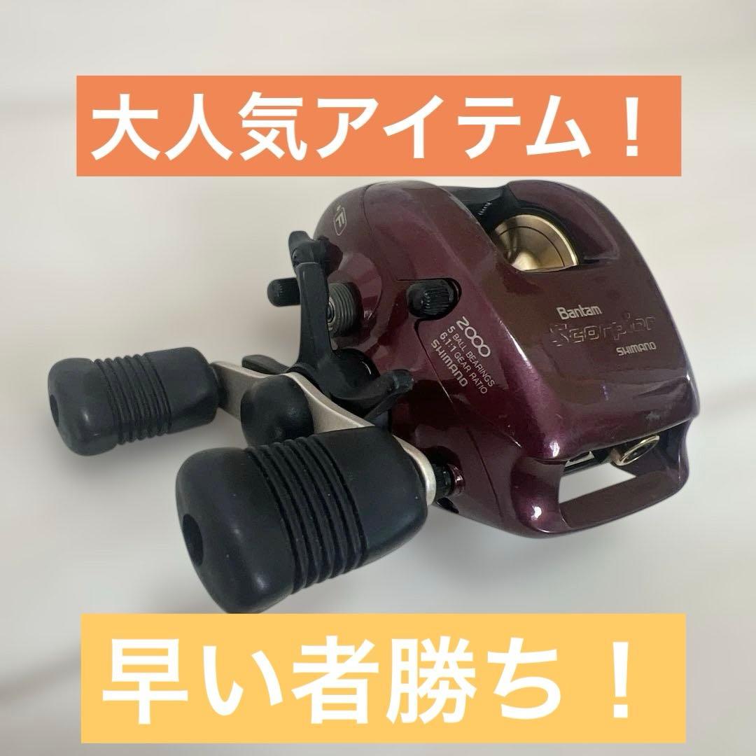 【大人気アイテム】シマノ スコーピオン 2000 釣具 ベイトリール