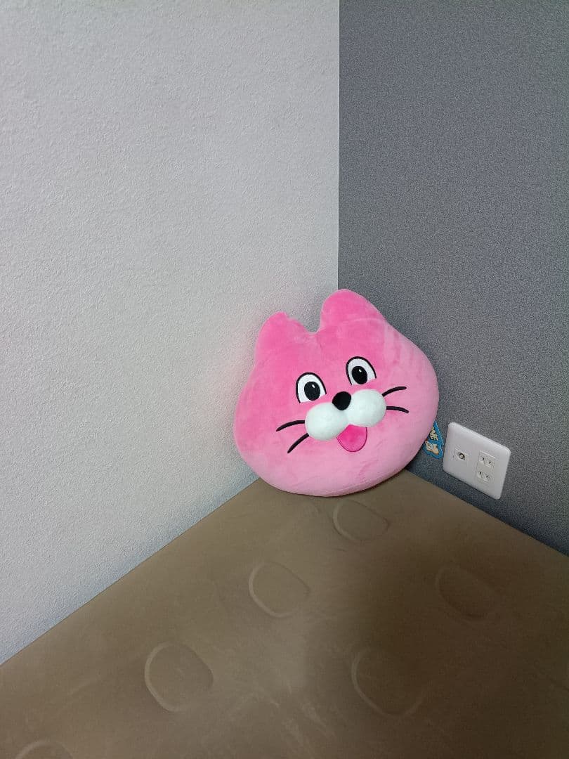 ZIZONE クッション Pingo Cat ブランケット