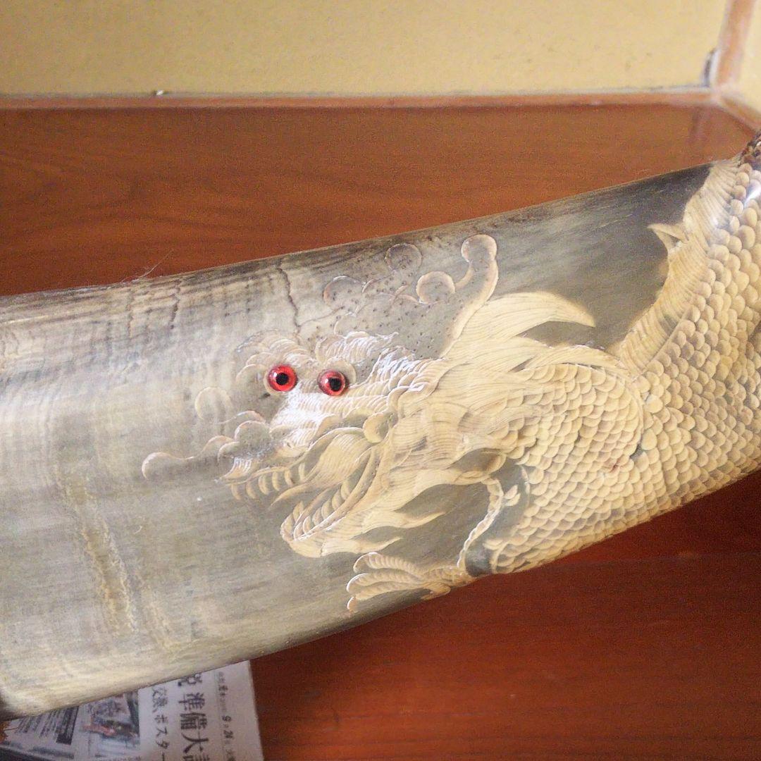 水牛の角