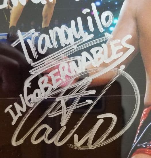 内藤　哲也　内藤　新日本プロレス　直筆サイン　フォトフレーム　サイン