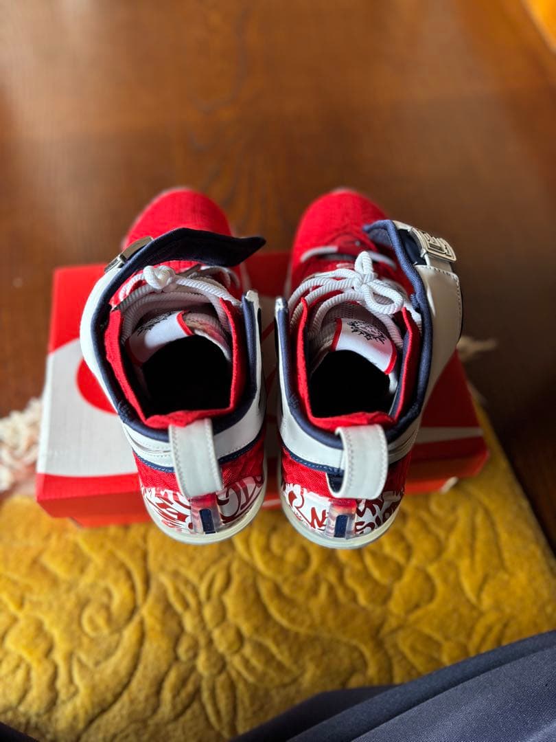 NIKE LEBRON 17 Fire Red size ナイキ　レブロン