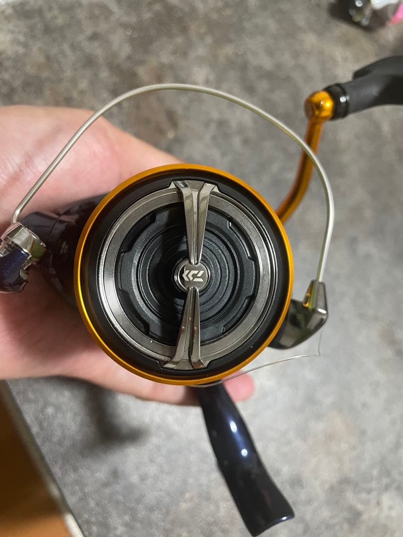 Daiwa 24レブロス　LT4000-CXH PEライン付