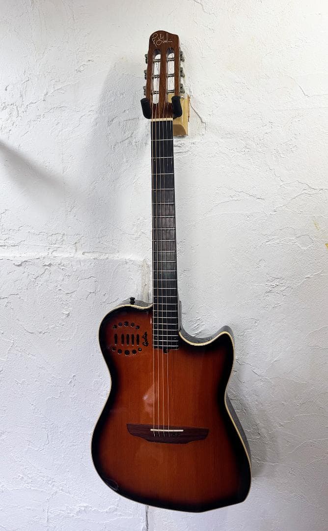 Godin エレアコ 調整済 新品ダダリオ 即戦力 生鳴り抜群