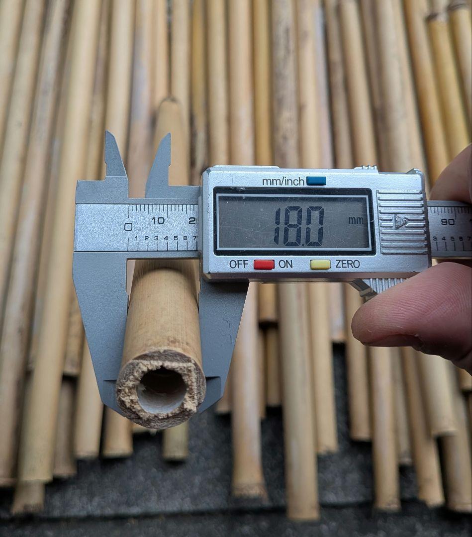 篠竹 女竹 立枯れ硬化保管６０本 篠笛素材