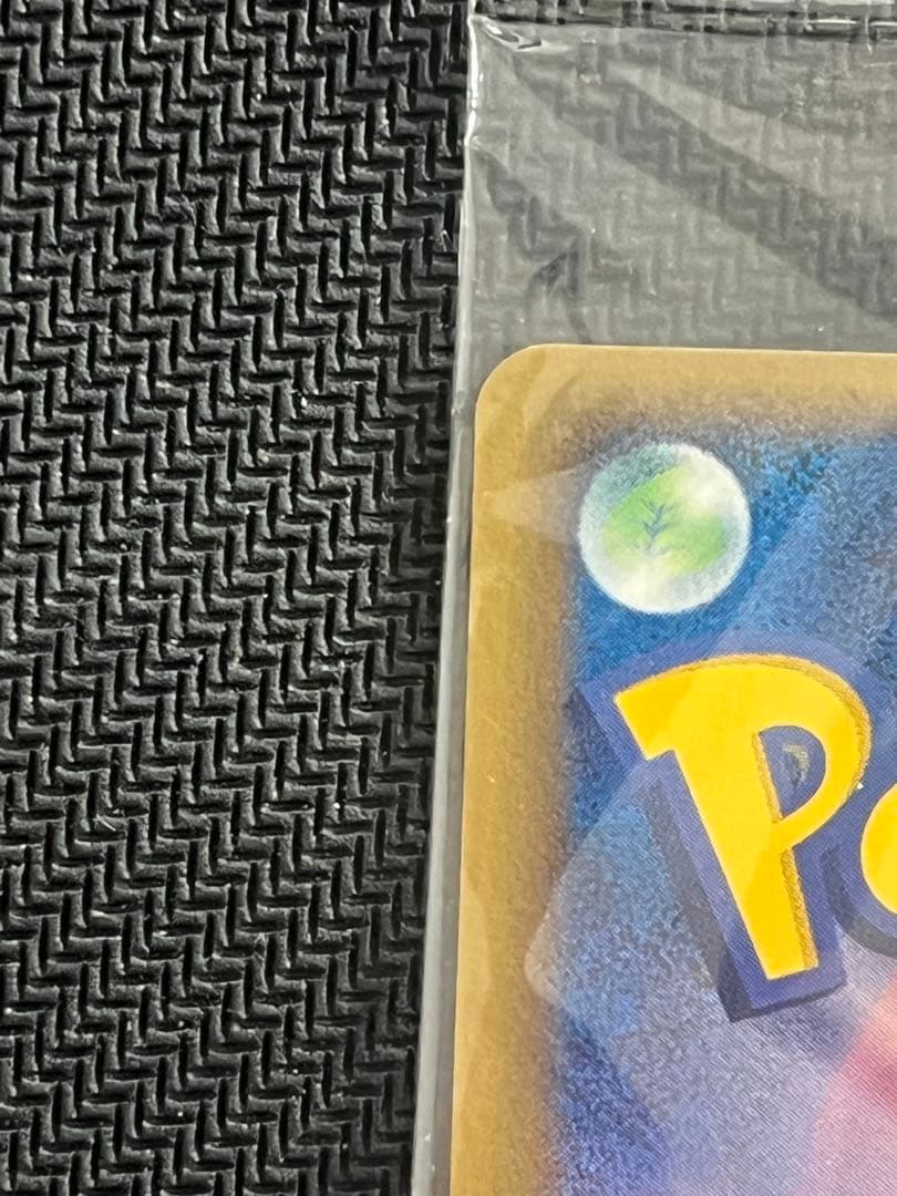 ポケパークのピカチュウ 043/pcg-p