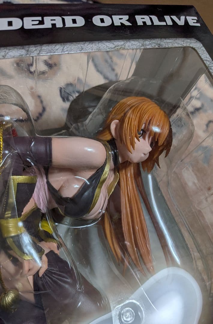 Dead or Alive DOA 霞 かすみ C2黒ver 1/6 ①