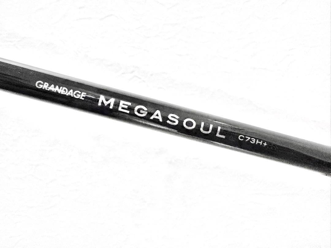 APIA MEGASOUL グランデージ メガソウル C73H+ シーバスロッド