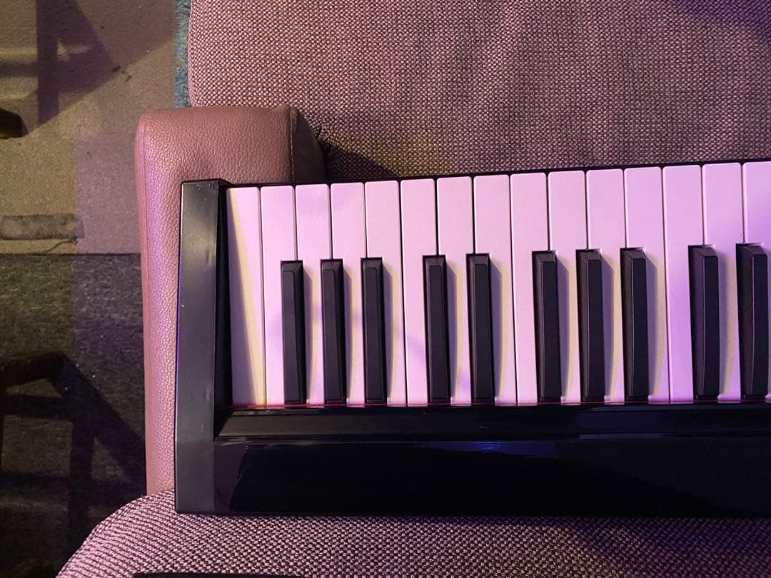 電子ピアノ　キーボード　88鍵盤　ケース、イヤフォン　充電USBケーブル セット