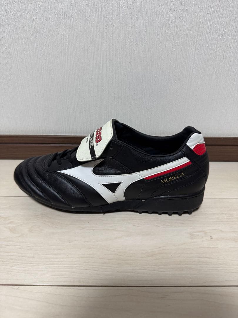 MORELIA II AS 12KT-80601 モレリア　レア　希少