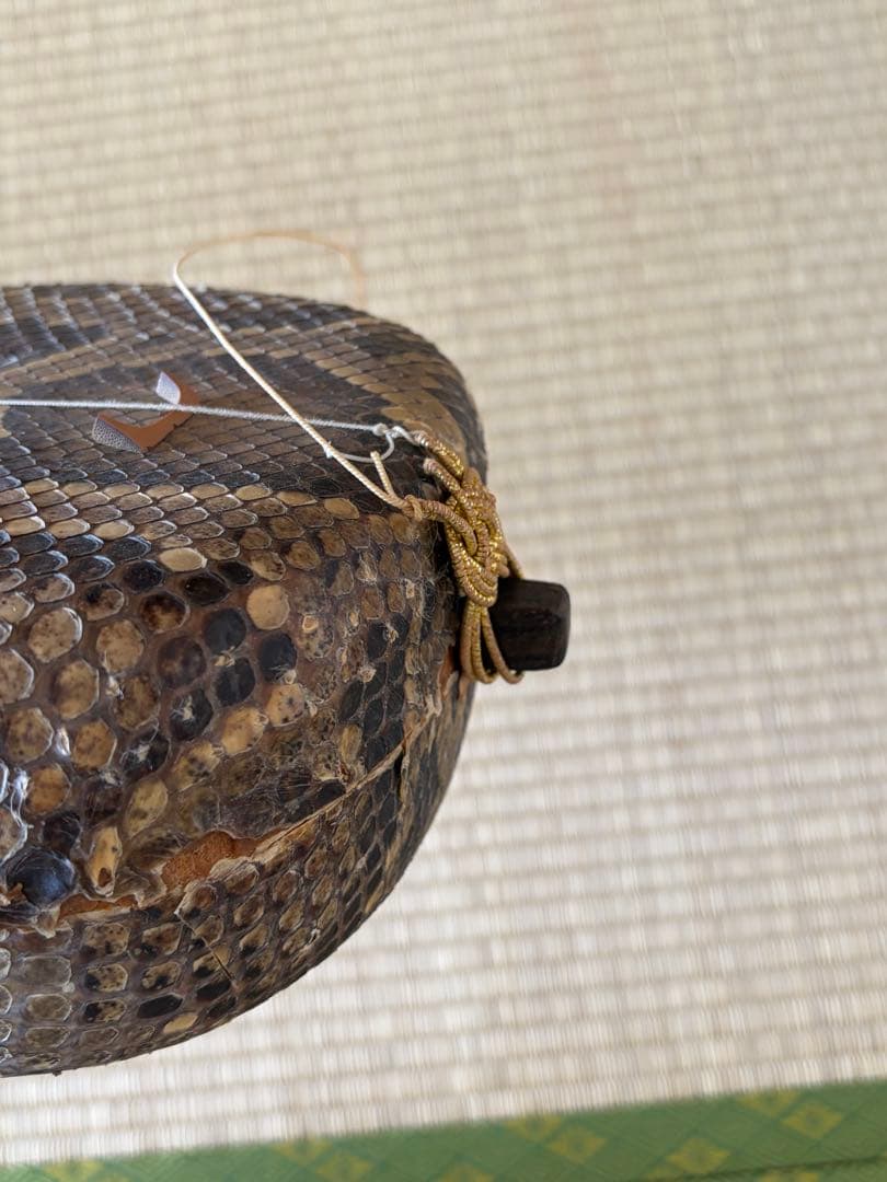 真栄堂 三味線本体 ヘビの皮製