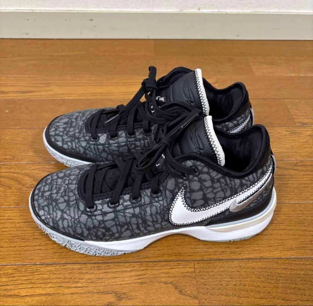 Nike LeBron NXXT Gen レブロンJORDAN バスケ