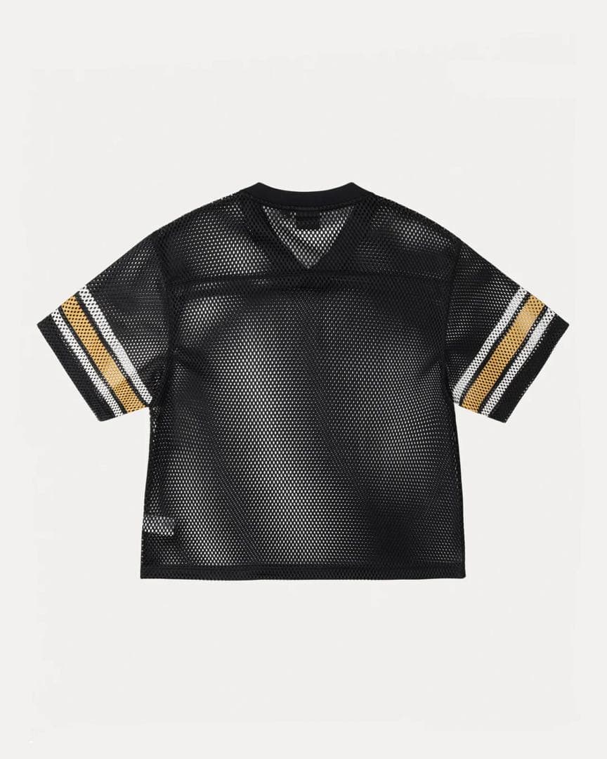 シャツ STUSSY INTERNATIONAL TEAM JESTY