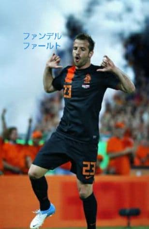 【レア】オランダ代表 VAN DER VAART