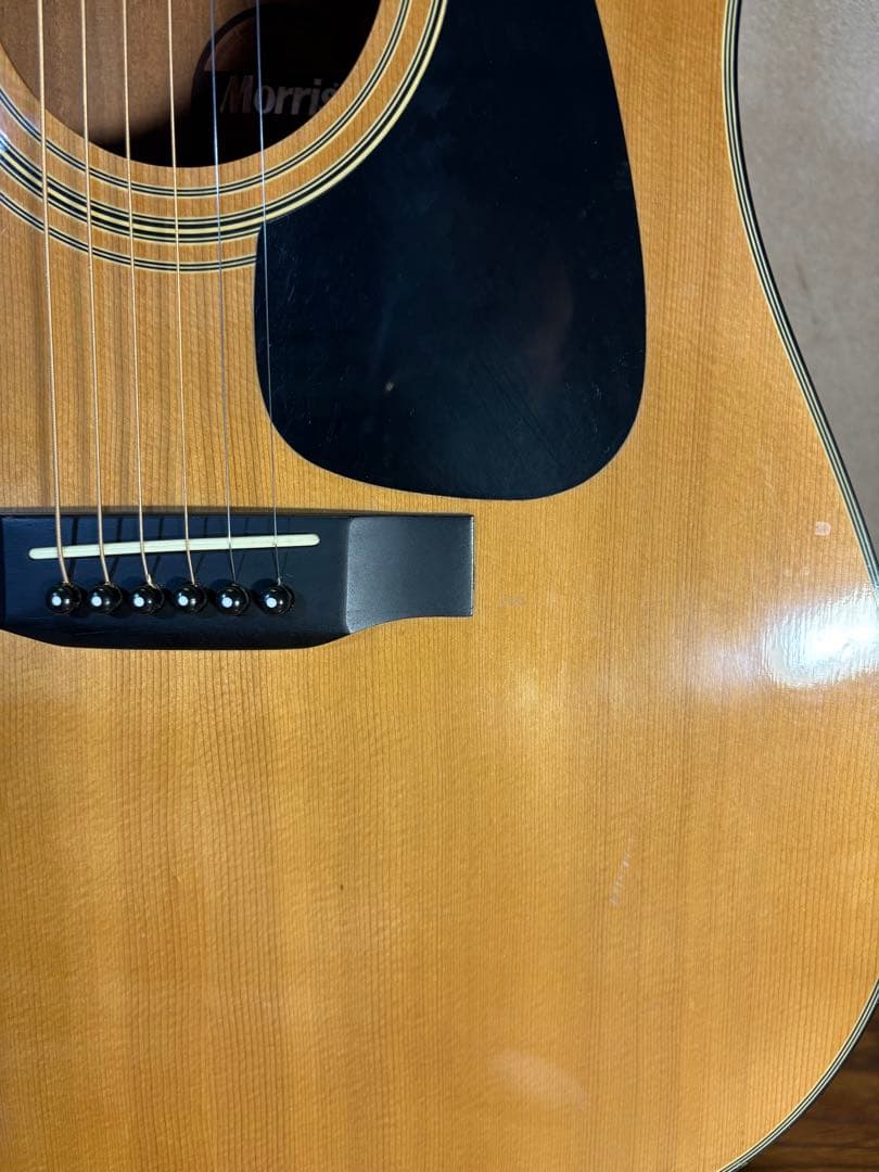 Morris MD-502 アコースティックギター