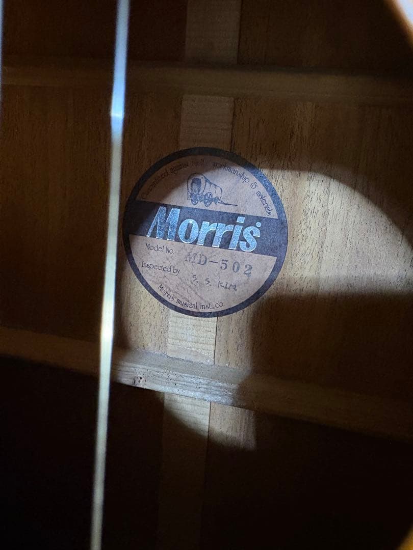 Morris MD-502 アコースティックギター