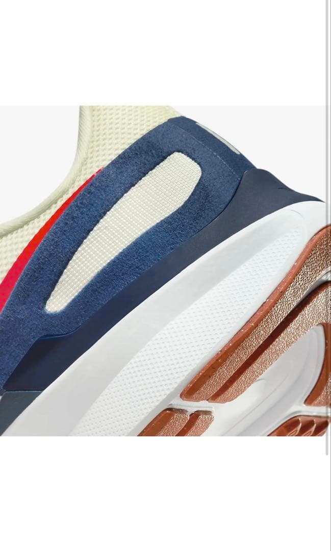 Nike ランニングシューズ 29cm