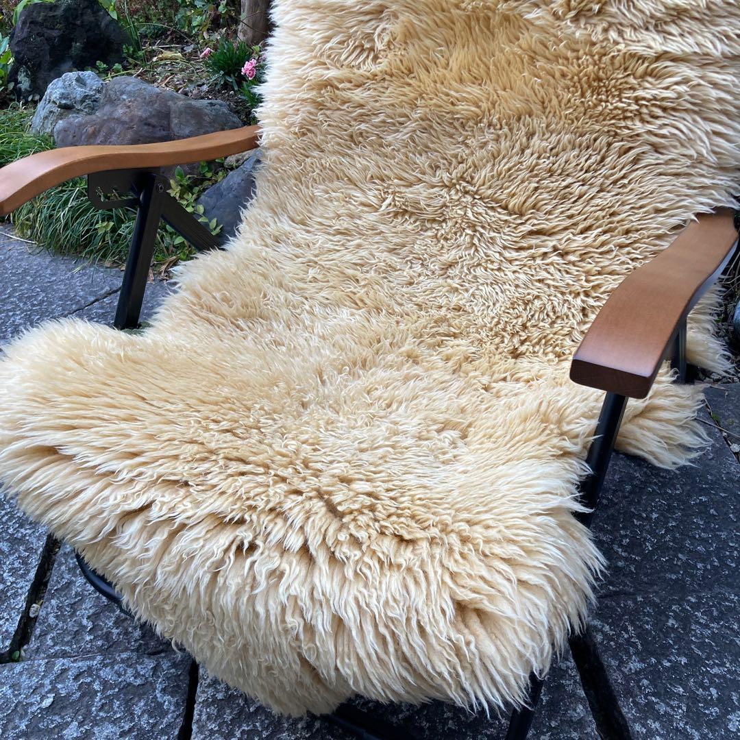 のら出品