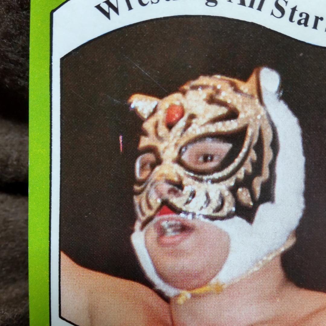Wrestling All Stars トレカ 初代タイガーマスク