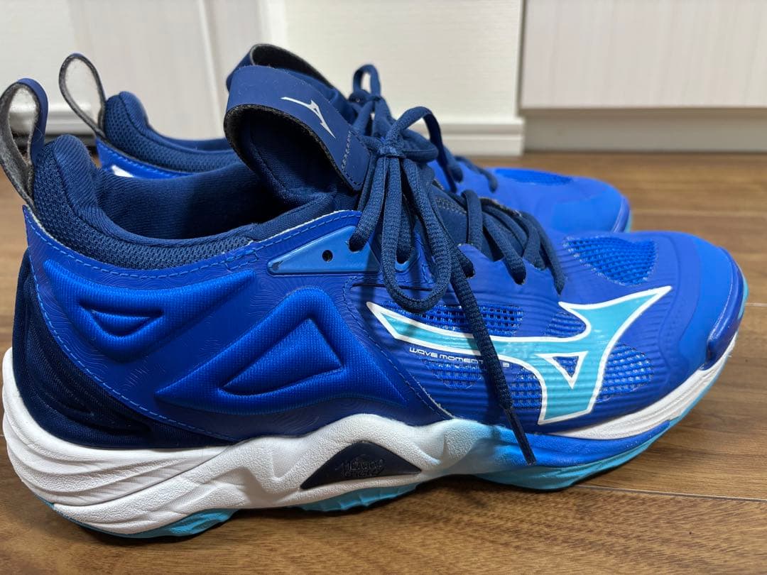 (最終値下げ)Mizuno Wave Momentum 3 27.0cm