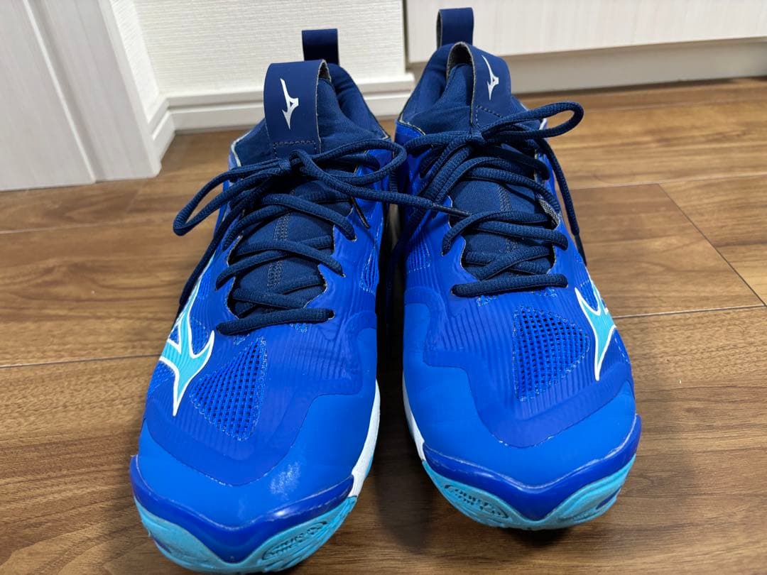 (最終値下げ)Mizuno Wave Momentum 3 27.0cm