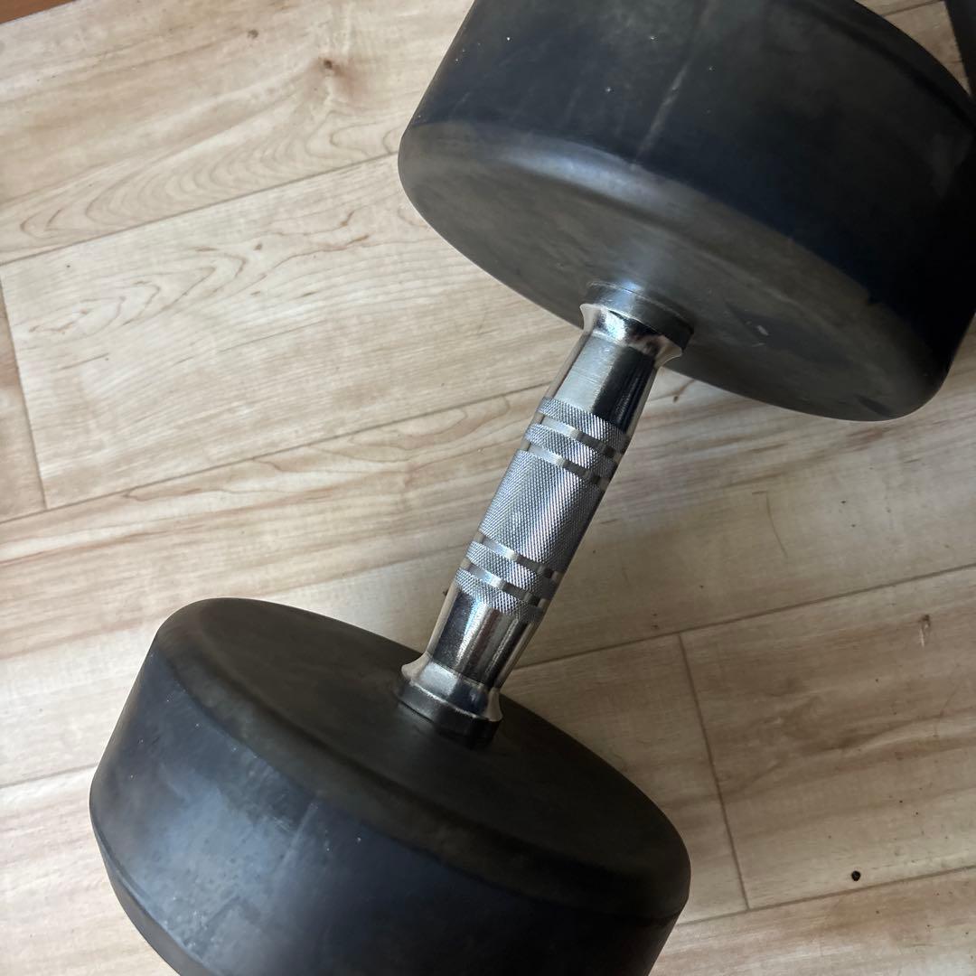 WILD 22kg ダンベル　1 状態良い　最安値