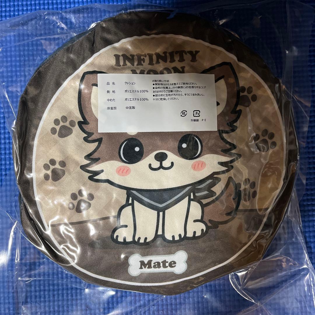 INFINITYMOON 登坂広臣 会場 ガチャ レア クッション ØMI