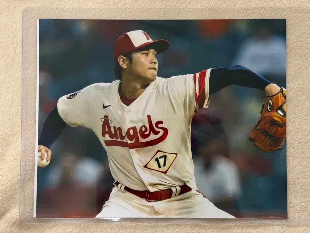 大谷翔平直筆サインボール　世界限定50個　MLB公認