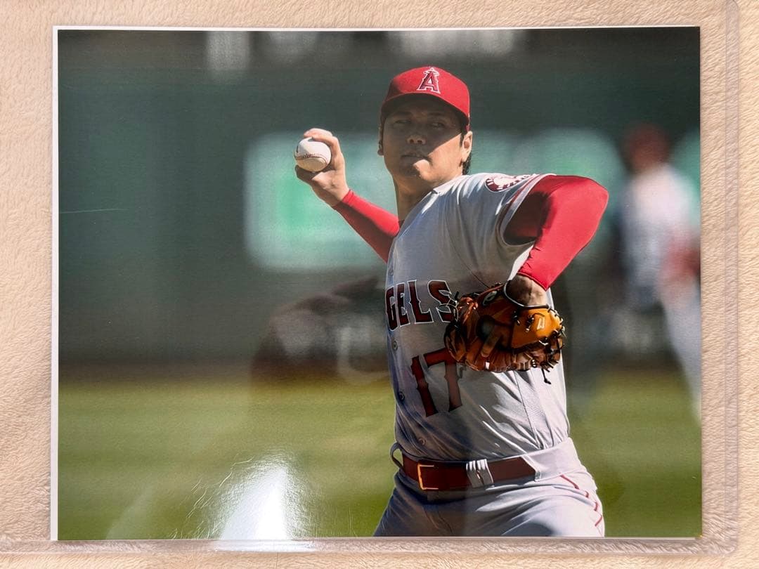 大谷翔平直筆サインボール　世界限定50個　MLB公認