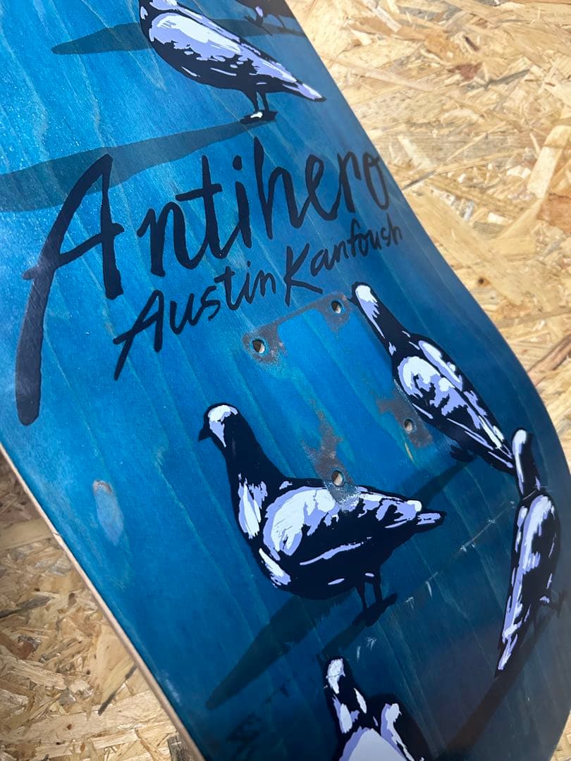 Antihero 8.55 Austin Kanfoush スケートボードデッキ